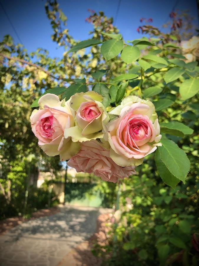 Ekas Rosengarten Гори Экстерьер фото