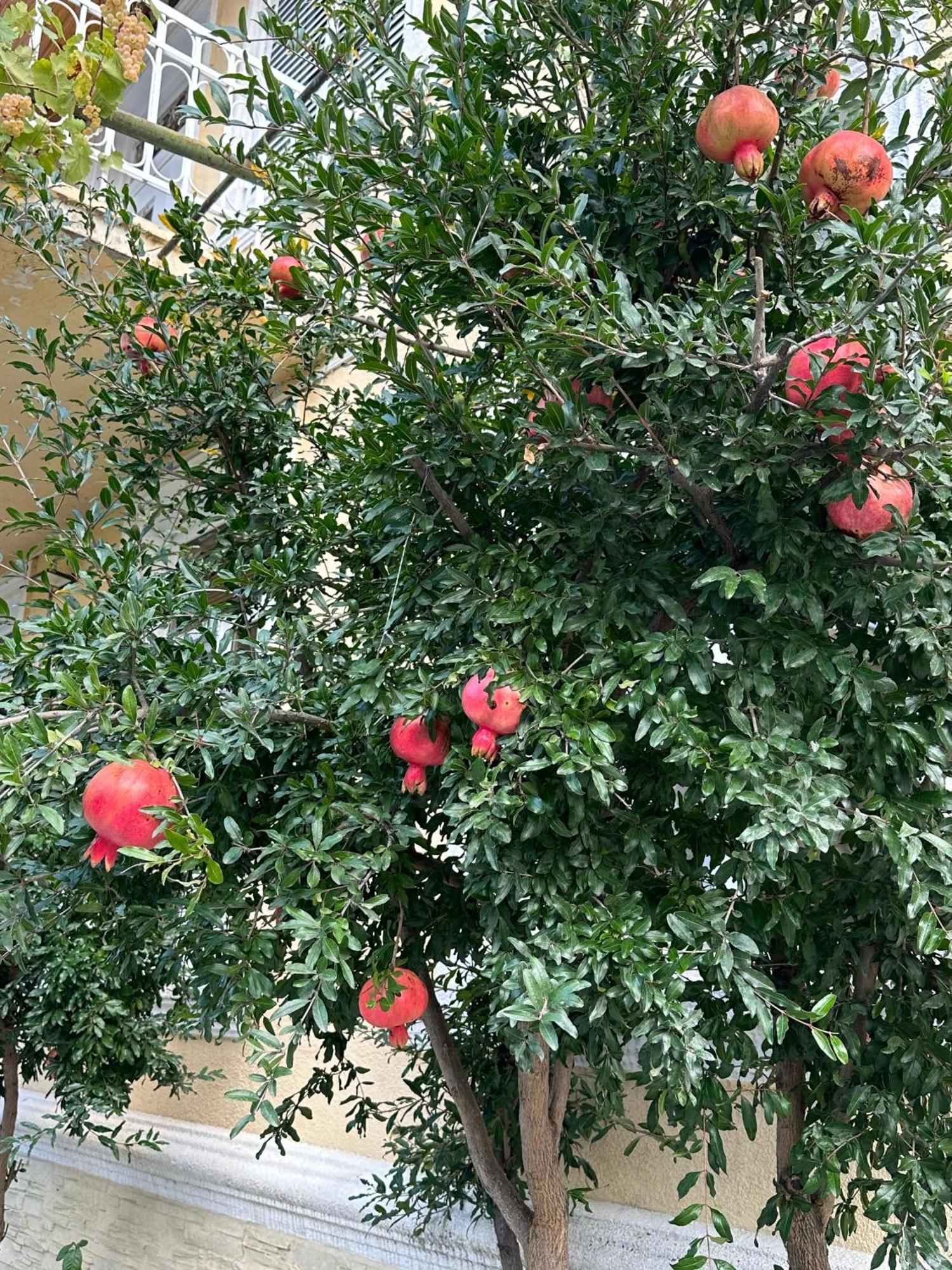 Ekas Rosengarten Гори Экстерьер фото